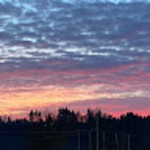 Meet your Posher, Joanne